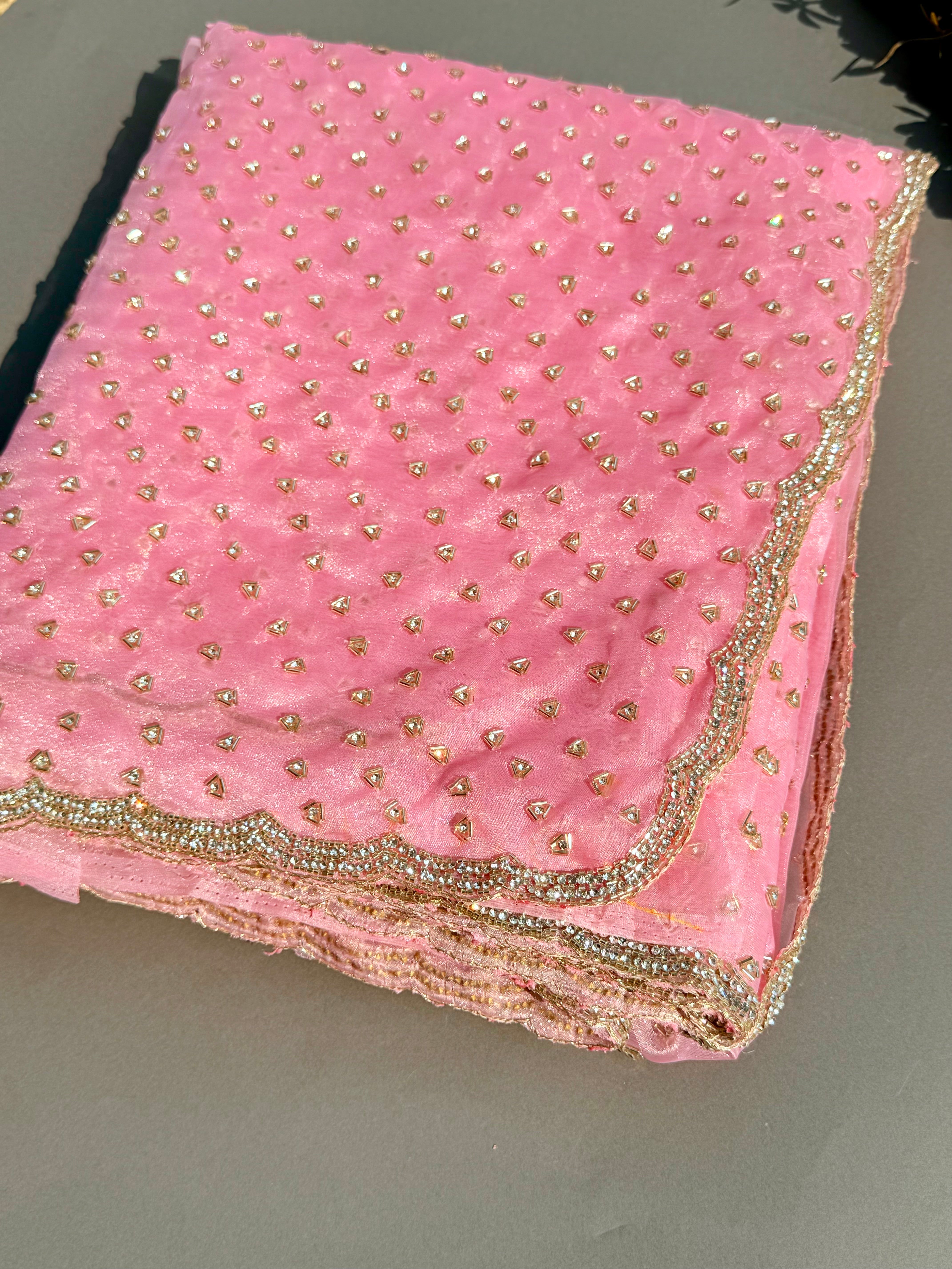 Pink Raina Organza saree