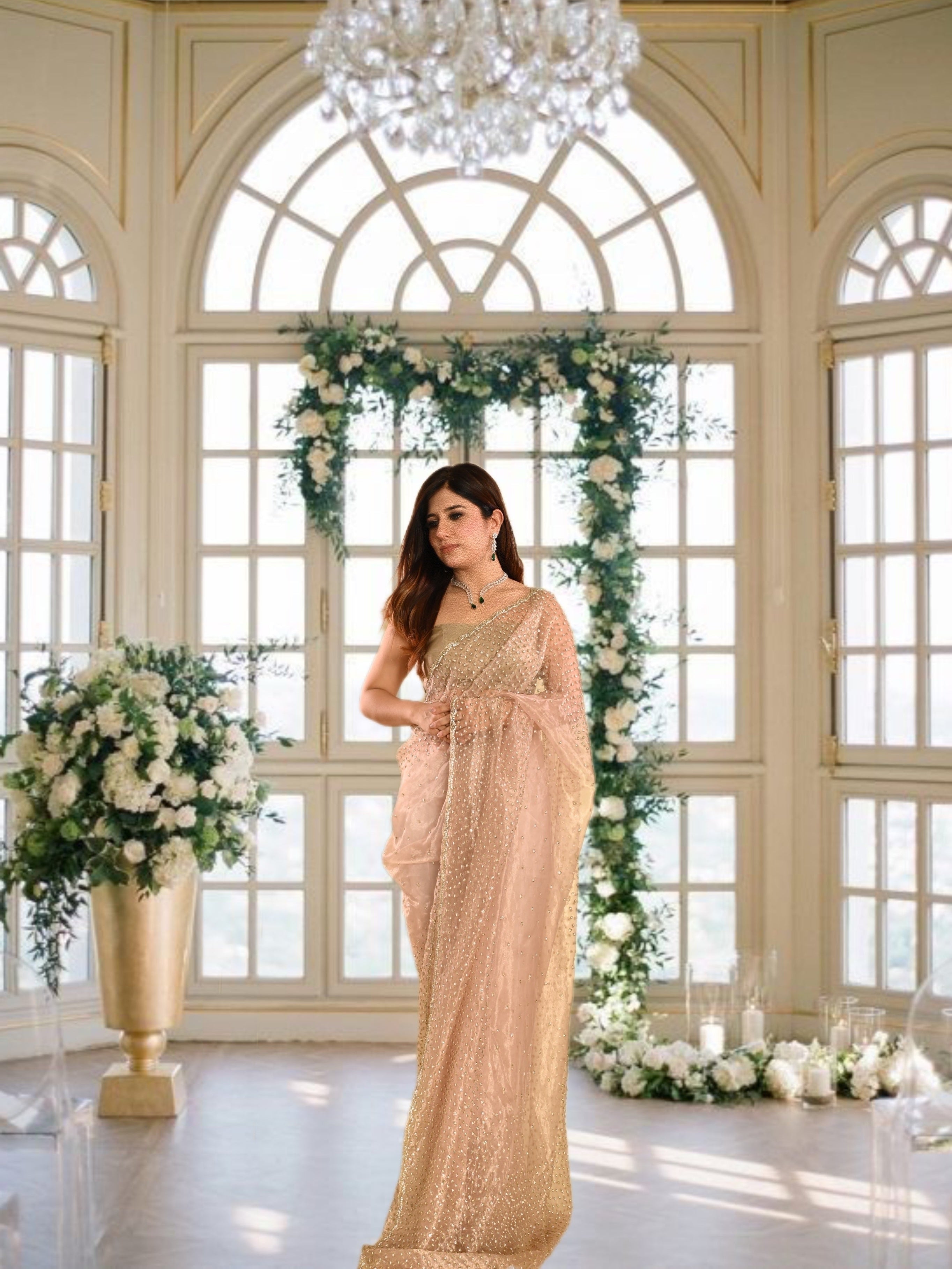 Golden Raina Organza saree